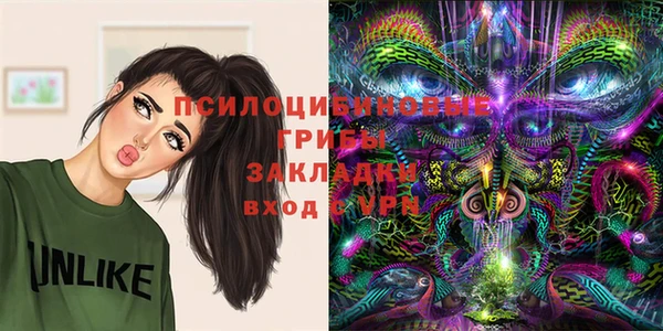 мяу мяу кристалл Богданович